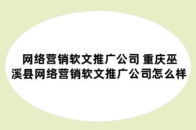 网络营销软文推广公司 重庆巫溪县网络营销软文推广公司怎么样